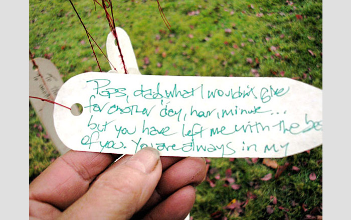 The Wish Fulfilling Tree | Message to dad, 2007